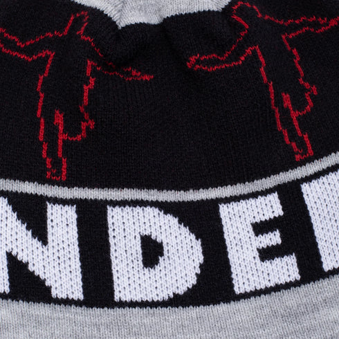 Hockey - Indy Hank Beanie (Black)